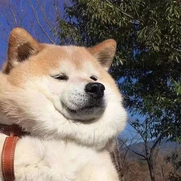 我是欧阳